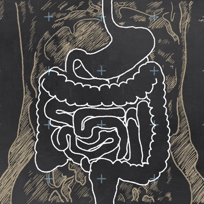 Leaky Gut Test: tests zonulin and alpha-1 antitrypsin