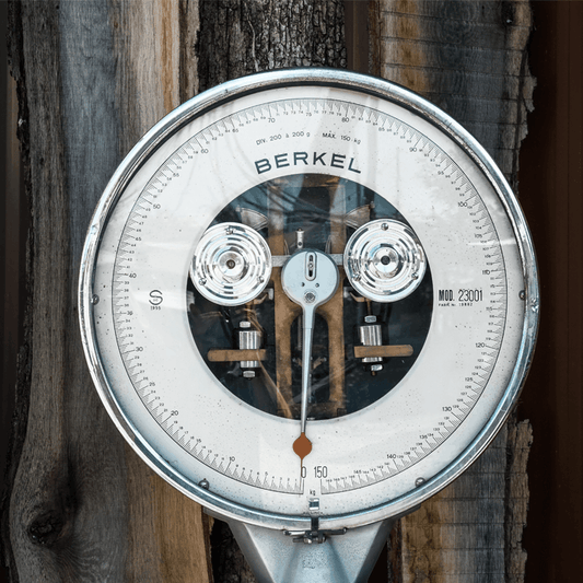 Stool analysis for obesity; molecular genetics