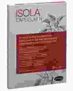 ISOLA CAPSICUM N Pflaster rot 5 Stk