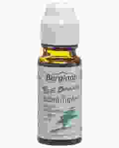 BERGLAND Teebaum Pickeltupfer 10 ml