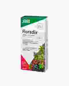 FLORADIX Eisen + Vitamine Profit Pack (neu) 500 ml