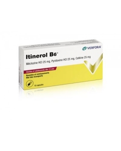 ITINEROL B6 Kaps 10 Stk