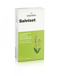 SALVISET Pastillen 24 Stk
