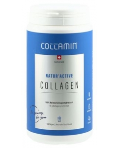 COLLAMIN NaturActive Collagen 45 Port 450 g